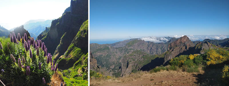 Madeiras hgsta punkt Pico Ruvio p en vandringsresa till Madeira.